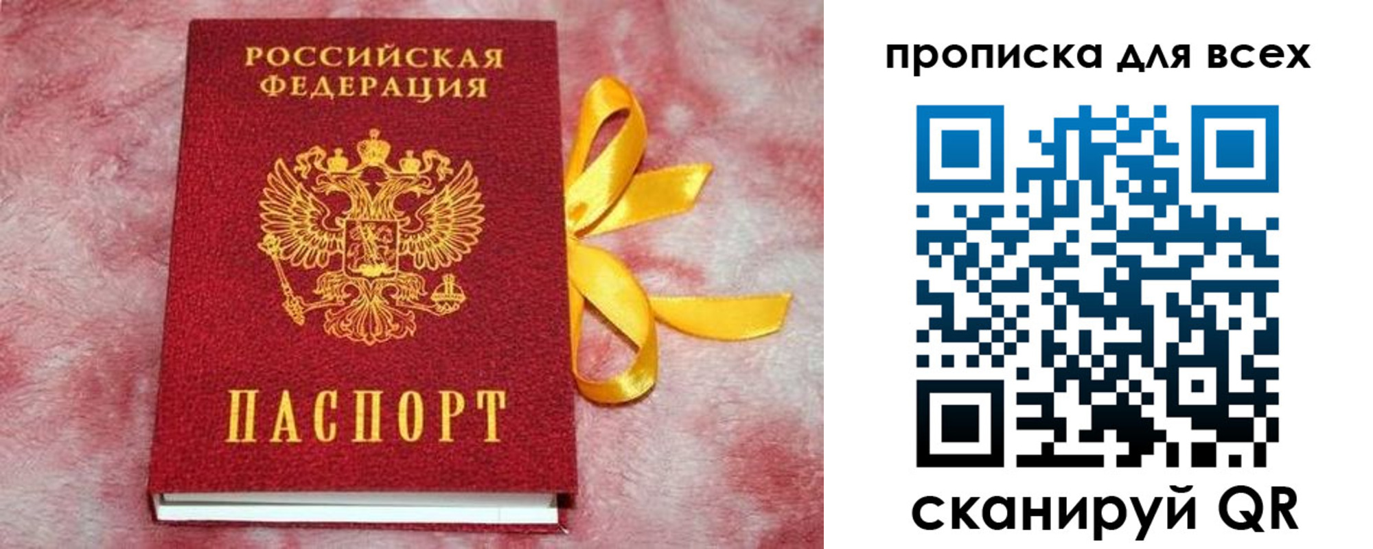 прописка для школы в Светлогорске