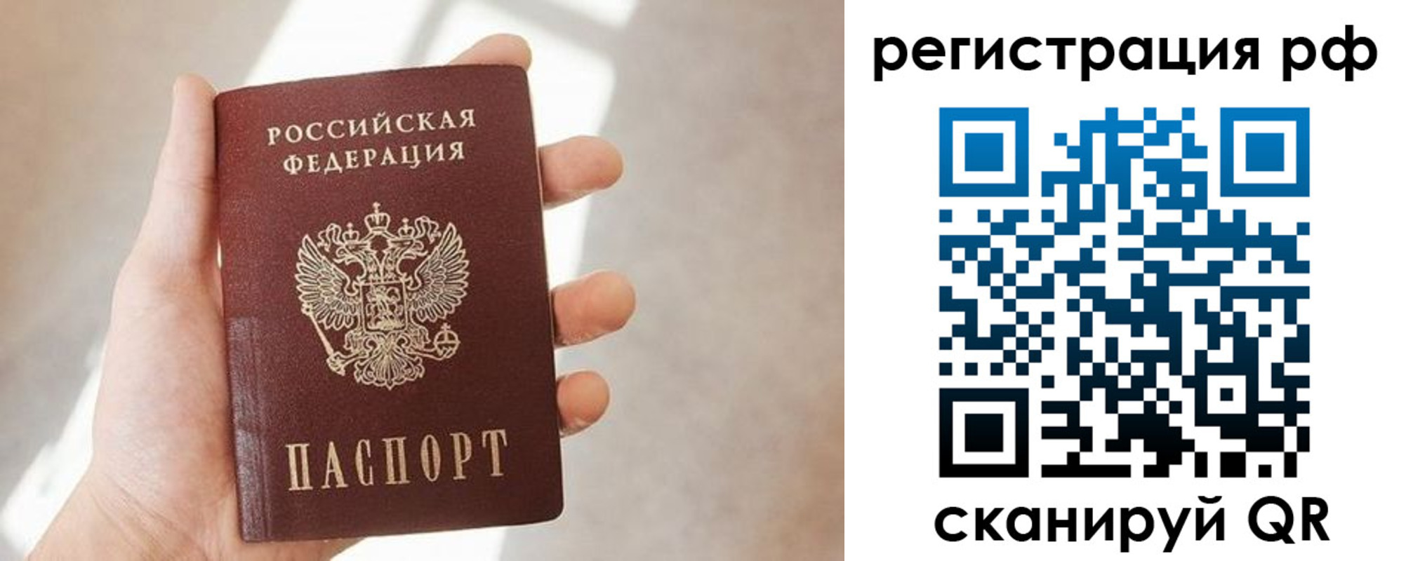 прописка от собственника в Светлогорске