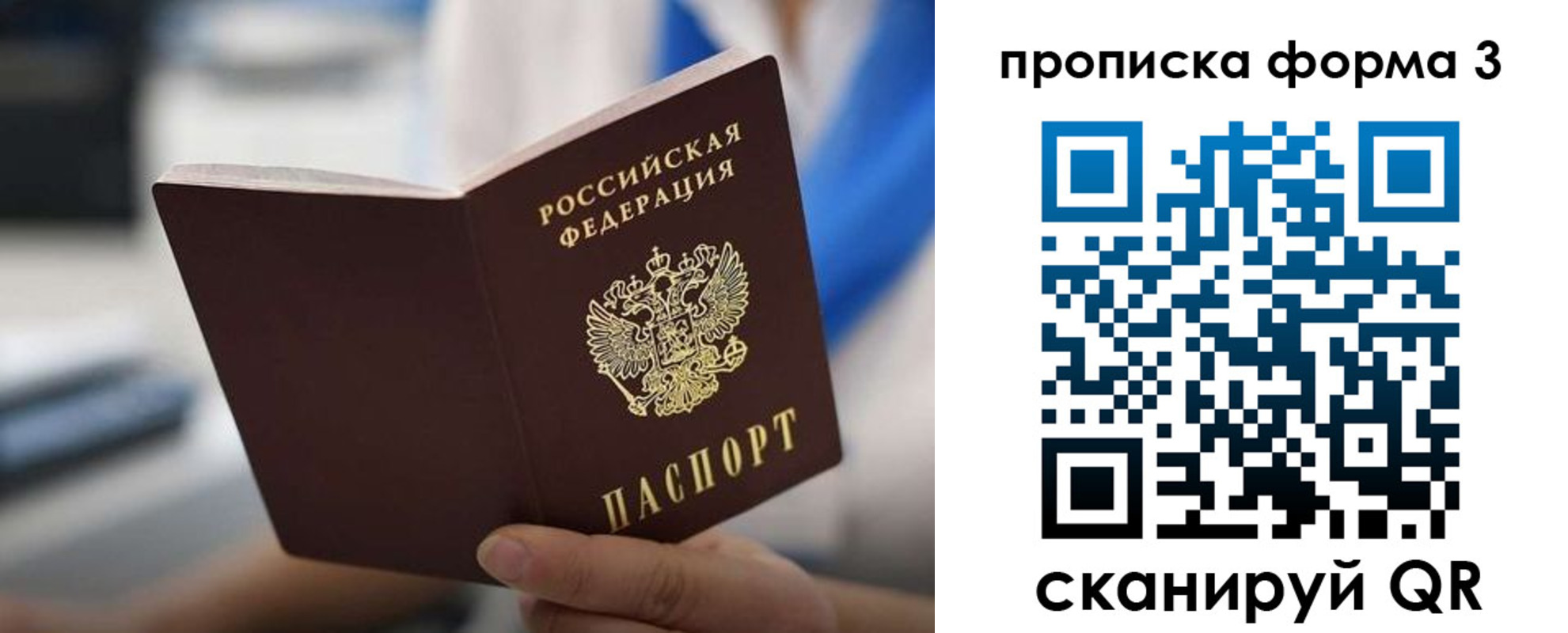 временная регистрация недорого в Светлогорске